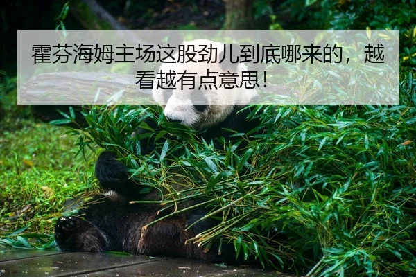 huo-fen-hai-mu-zhu-chang-zhe-gu-jin-er-dao-di-na-lai-de-yue-kan-yue-you-dian-yi-si-2-311.jpg