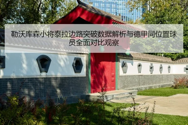 勒沃库森小将泰拉边路突破数据解析与德甲同位置球员全面对比观察